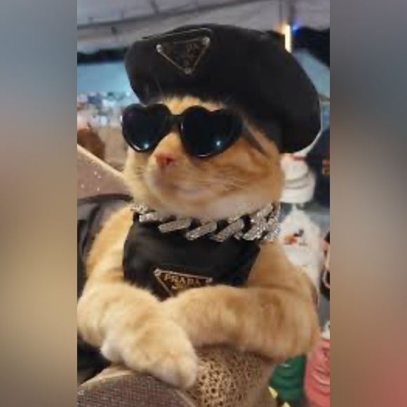 Always have fun with fashion. Dress to entertain yourself.” - Betsey Johnson - Picture 3 of 10